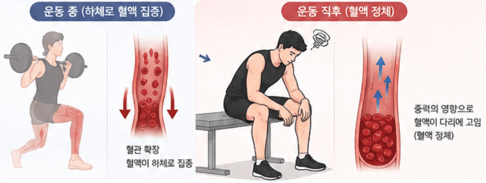 하체 운동 후 어지러움