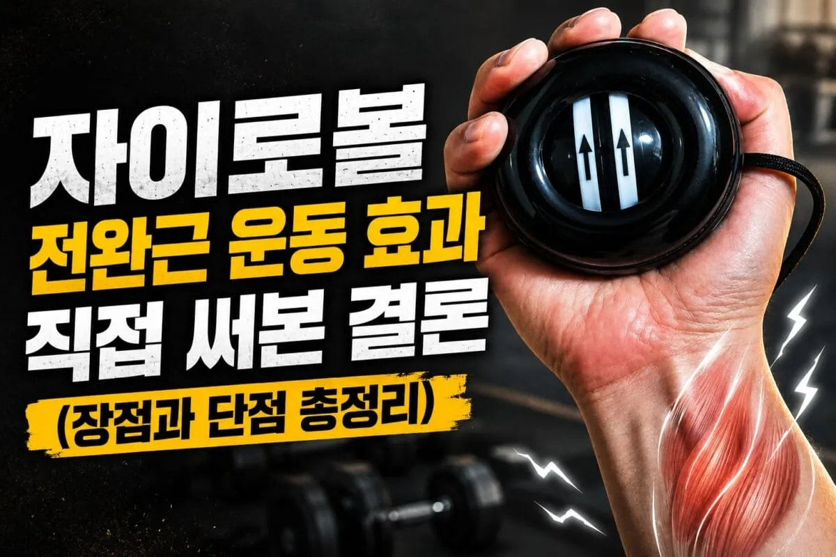 자이로볼 후기