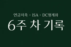자동 적립식 투자