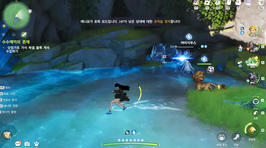 애니모 구름초원 엘리트 스탈크랩 공략