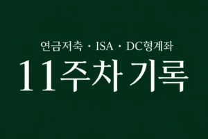 자동 적립식 투자